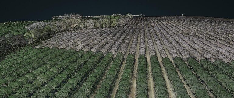 lidar_finca